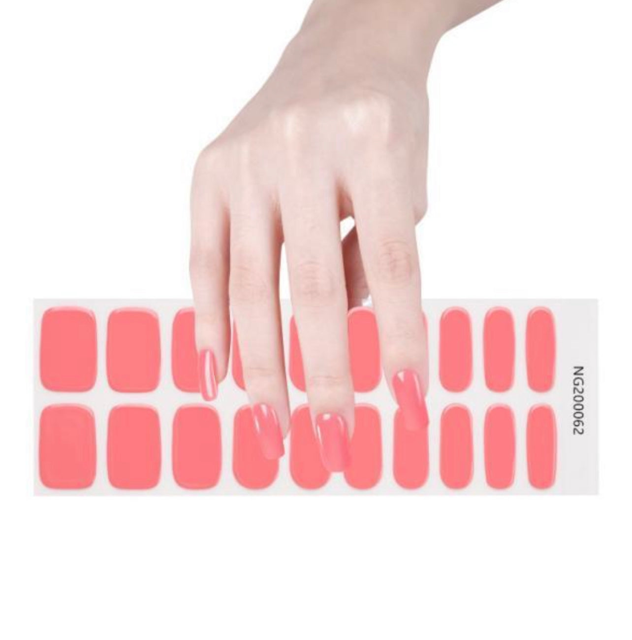 Coral Expressions